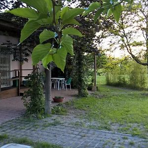 Rose Canine B&B